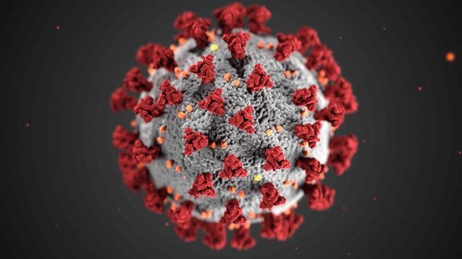 Corona Virus. Illustration: @cdc/ unsplash