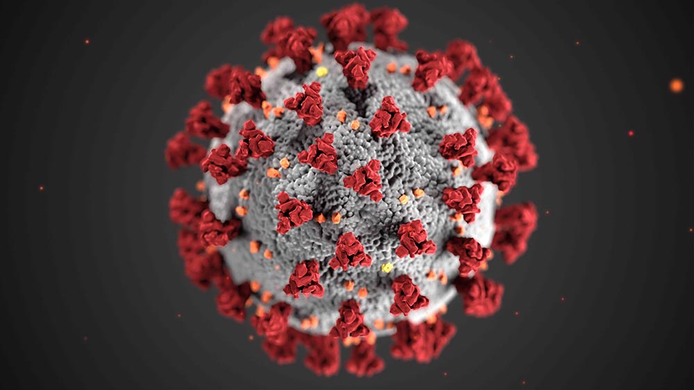 Corona Virus. Illustration: @cdc/ unsplash