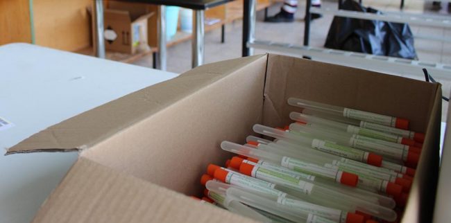 Kiste mit Corona Teströhrchen. Foto: Simone Mager