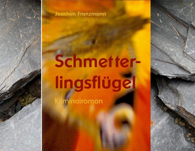 Schmetterling 01 Buchtitel Schmetterlingsflügel. Graphik: Simone Mager