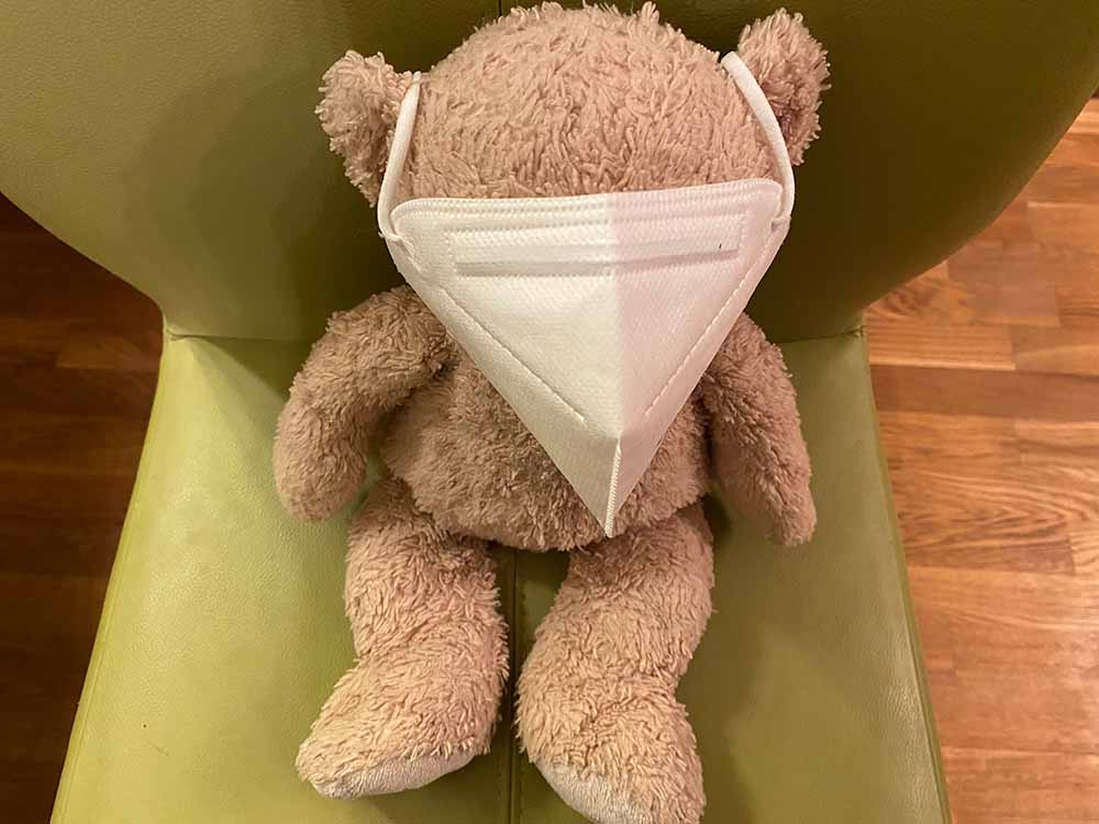 Paul mit Maske-kl Bär mit FFP2 Maske. Foto: Simone Mager