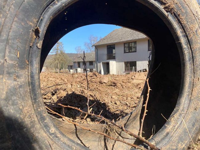 Dörndich. Foto: Simone Mager