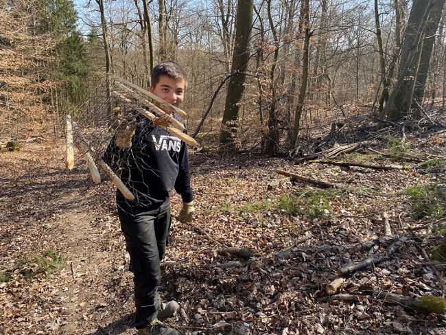 Jakob schultert einen die Zäune, die im Wald aufgestellt werden. Foto: Simone Mager