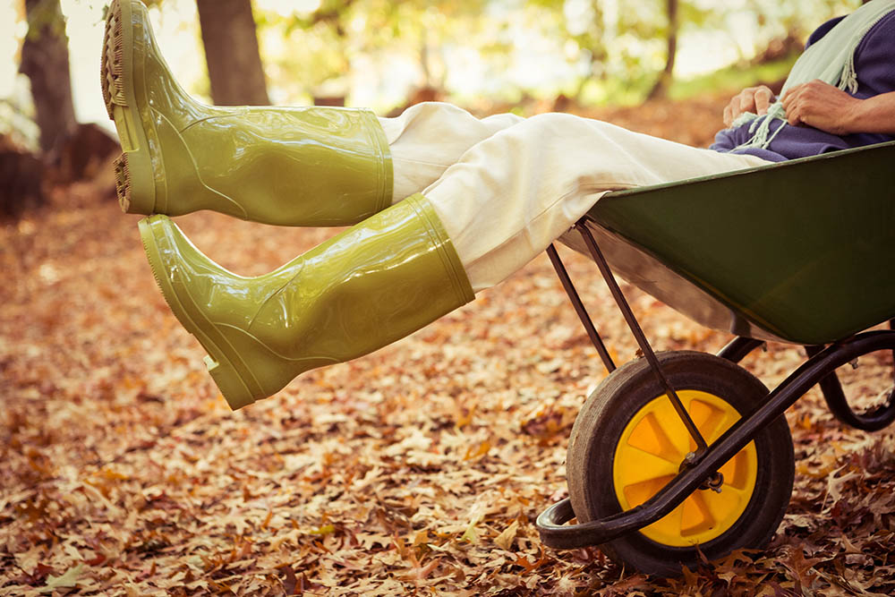Low section of gardener sitting in wheelbarrow at garden Foto: Adobe Stock