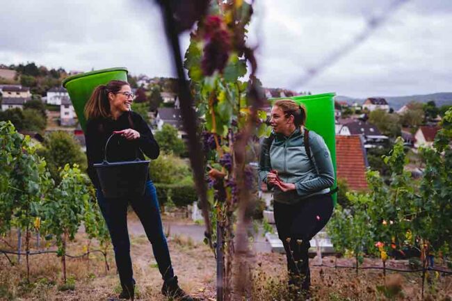 Laura Weber im Weinberg. Foto: Weingut Weber
