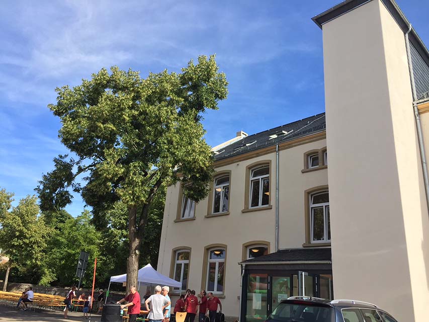 Alte Grundschule Bad Sobernheim. Foto: Simone Mager