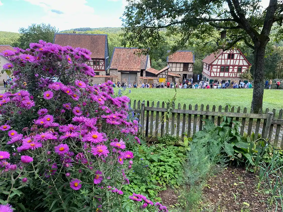 Blumen im Freilichtmuseum. Foto: Simone Mager