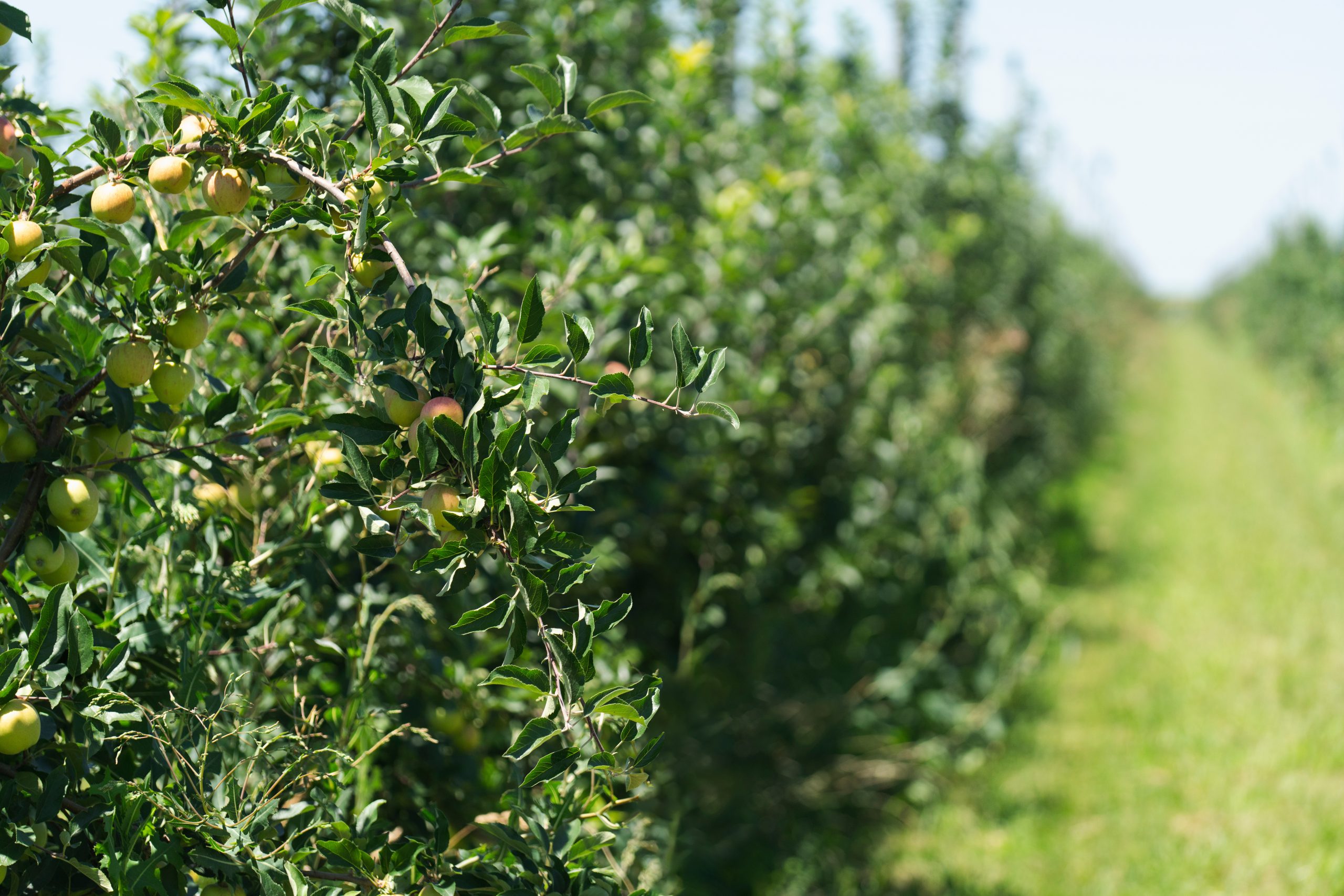 Foto: AdobeStock scharfsinn86