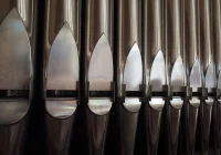 Bild: AdobeStock Claudio Divizia