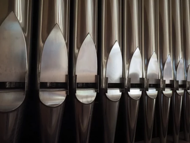 Bild: AdobeStock Claudio Divizia